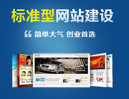 企业展示网站建设