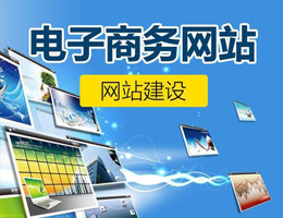 电子商务网站建设