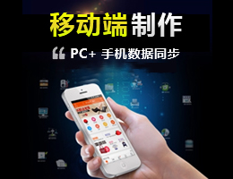 手机/微网站建设